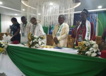 NMA Holds AGM, Honours Nonye Soludo, Ikechebelu