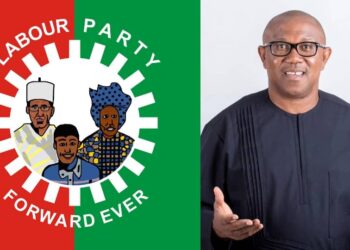 Renowned journalist, Others Emerge Labour Party Interim Executive In Anambra State