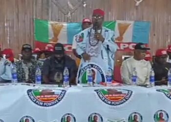 Awogu Says APC Will Retain Anambra South Senatorial Seat 