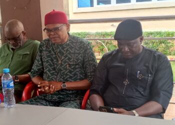 PDP Elders Council Urges NWC To Ignore Call For Dissolution Of Anambra State Exco