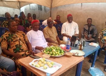 Anambra Community Leader Makes Case Urges Diaspora Town Unions To Celebrate New Yam Festival 