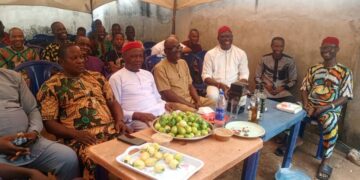 Anambra Community Leader Makes Case Urges Diaspora Town Unions To Celebrate New Yam Festival 