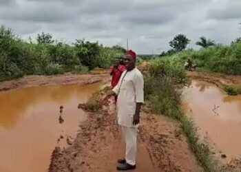 Sen. Nwoye Seeks Tinubu’s Urgent Intervention In Onitsha-Omor-Adani Federal Road In Anambra