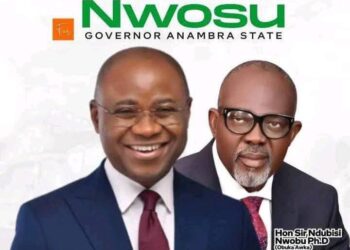 Anambra Guber: Nwosu Says ADC Best Alternative To APGA, APC 