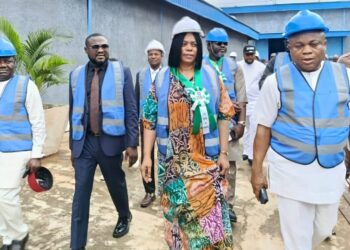 Reps Commend Zobis Cables, Pledges Support Indigenous Mfg Coys