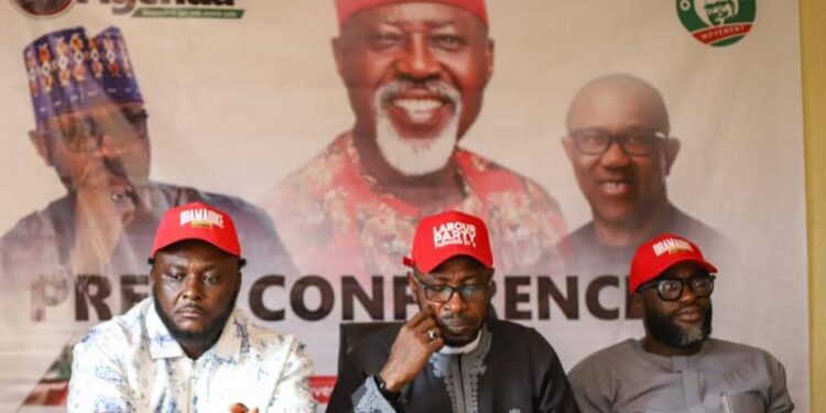 Anambra Poll: Obidients Vow To Deliver LP Candidate, Moghalu