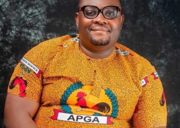 Nchekwube Declares Interest For Awka North Council