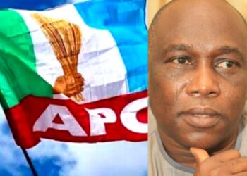 Sen Anosike Emerges Anambra APC Chairman