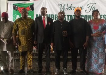 McCool Nwosu Replaces Obianyo As ADC Chairman In Anambra  