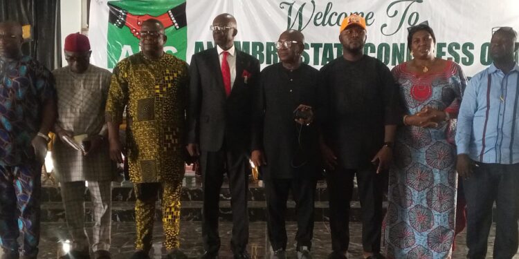 McCool Nwosu Replaces Obianyo As ADC Chairman In Anambra  